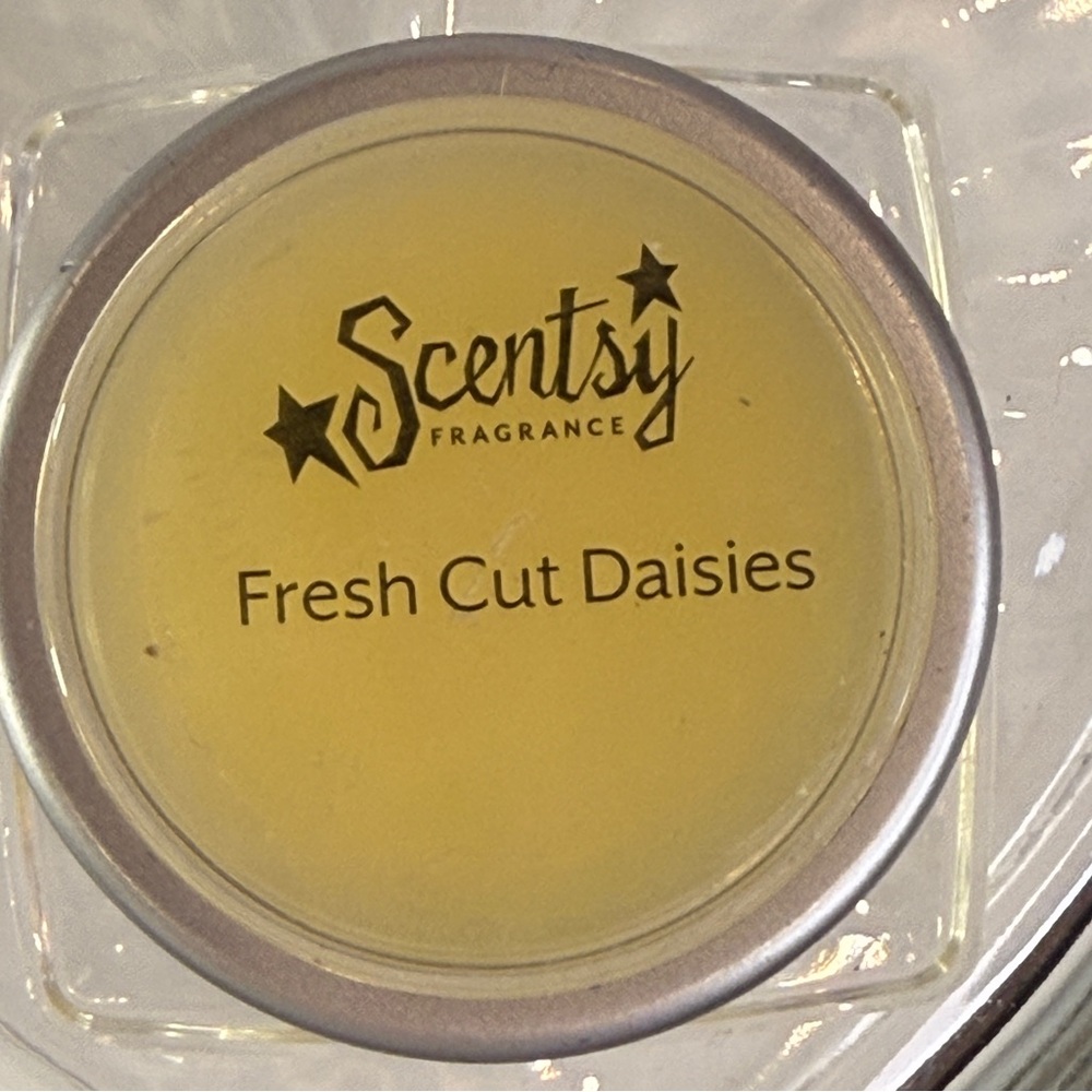🆕 “Fresh Cut Daisies” Authentic Fragrance Pod – Crisp Floral Meadow Scent